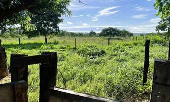 Imagem 2: Sitio de 7 hectares na região barreiro branco no município de Nossa Senhora do L