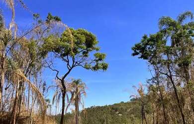 Imagem 3: Seu terreno em Terra Preta Mairiporã está te esperando
