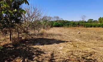 Imagem 6: Chácara em Nerópolis