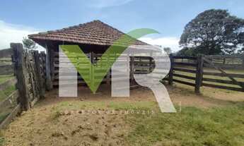 Imagem 2: Fazenda 60 Alqueires em Ipameri Go