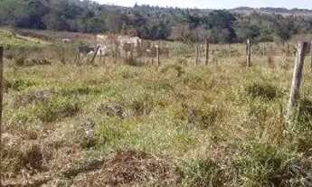 Imagem 3: Lote em Funilândia -Mg R$ 50.000