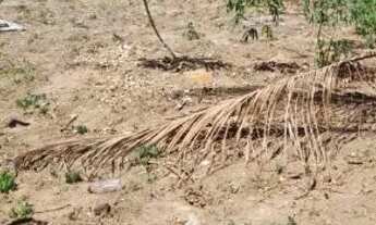 Imagem: Terreno no Recanto do Sol São Pedro da
