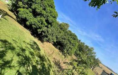 Imagem 6: Chácara Chácara com venda por R$750.000