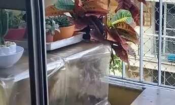 Imagem: Imóvel para venda tem 57 metros quadrados