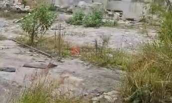 Imagem 3: Galpão na Penha com 340 m² e terreno de 768 m²