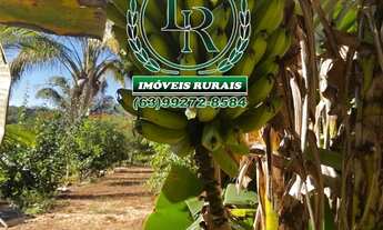 Imagem 4: Oportunidade Chácara de 34 Hectares Próximo de Palmas