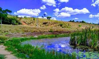 Imagem 5: Urgente.fazenda de 50 hectares por 159 mil