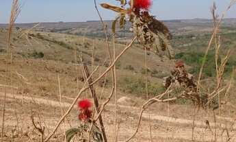 Imagem 11: Lote/Terreno 2.500 metros condomínio rural financiado Santo Antônio Goiás