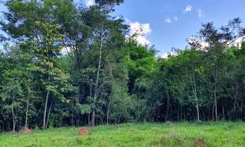 Imagem 6: Vendo Terreno 40.000m² com Área Verde e Vista Maravilhosa
