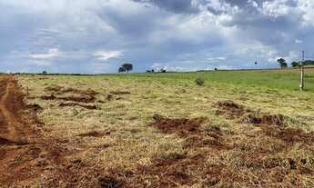 Imagem 7: Chácaras de mil Mt 40 km de Goiânia ótimo oportunidade !