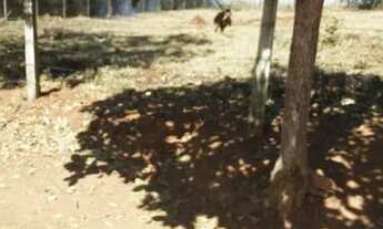 Imagem 4: IMPERATRIZ - MATEUS LEME/MG