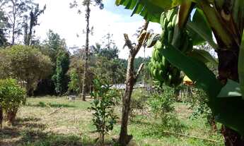 Imagem 7: Sítio Jardim dos Eucaliptos, 4600m²