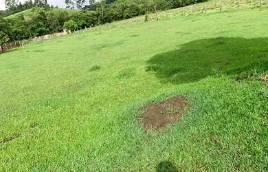 Imagem 2: PA - Terreno com ótima topografia!!!