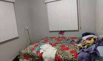 Imagem 7: Chácara para venda tem 650 metros quadrados com 3 quartos