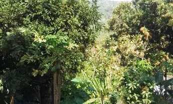 Imagem 7: Alugo Casa Composta por Sala, quarto, Cozinha, Banheiro e Varanda