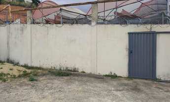 Imagem 7: Alugo lote com estufa para cultivo de flores e plantas