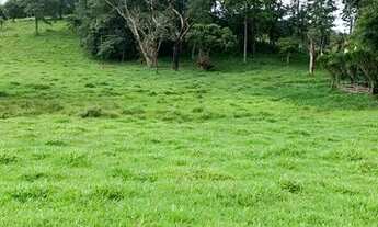 Imagem 3: Lf- Vende-se terreno para sua chácara