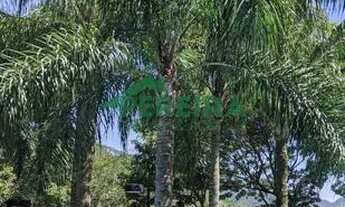 Imagem 3: Apartamento a venda em Rio de Janeiro