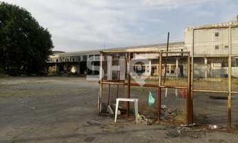 Imagem 5: TERRENO INDUSTRIAL - VILA GUILHERME