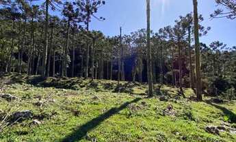 Imagem 6: OPORTUNIDADE BARATA NA SERRA CATARINENSE EM LOCAL ONDE NEVA!