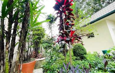 Imagem 5: APARTAMENTO COM 1 DORMITÓRIOE 1 VAGA DE GARAGEM NA VILA CLEMENTINO