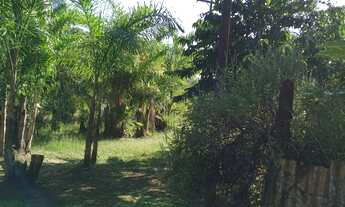 Imagem 3: Chacara em Morretes Parana