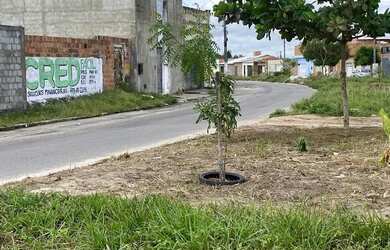 Imagem 3: Terreno na av do Albano Franco