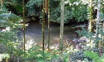 Imagem 4: Chacara em Morretes Parana