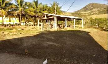 Imagem 7: Fazenda - Fazenda Cachoeira - Ilicínea