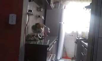 Imagem 4: Apartamento jd marilu