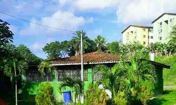 Imagem 2: Cabelos naturais cacheados