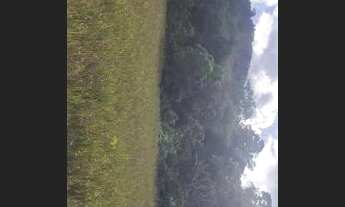 Imagem 3: Sítio de 1 hectares de terra ótimo pra fazer plantio