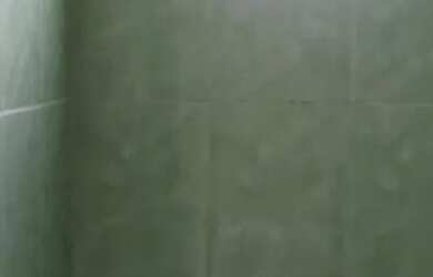 Imagem 4: Alugo ótima casa nova de 2 quarto, barato!