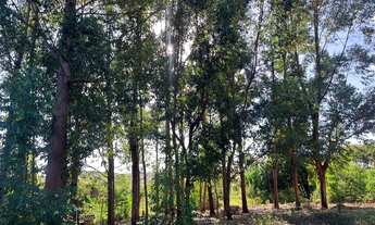 Imagem 3: Grande oportunidade sítio de 20.000m região da Serra do Cipó