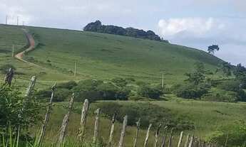 Imagem: Imóvel para venda possui 3700 metros quadrados