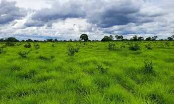 Imagem 3: FAZENDA COM 6.135HA NA REGIÃO DO RIO CUIABÁ RICA EM ÁGUAS
