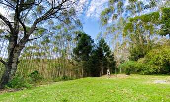 Imagem 5: Sítio em piedade 8 alqueires