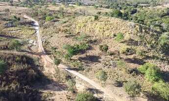 Imagem 7: Fazendinha de 60 hectares rica em água com casa excelente