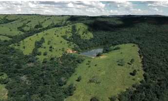 Imagem 7: Fazenda a venda, em Cocalzinho de Goiás!!!