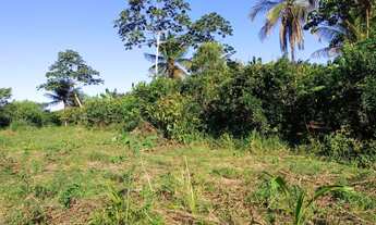 Imagem 3: Vendo excelente sítio em jaguaripe