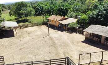 Imagem 3: Fazenda para cria de gado, Marzagão Go