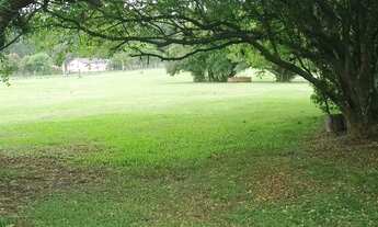 Imagem 3: Grande Sitio Chácara com venda com preço sob consulta