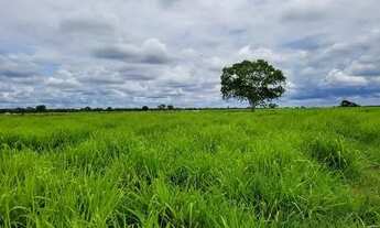 Imagem 6: FAZENDA COM 6.135HA NA REGIÃO DO RIO CUIABÁ RICA EM ÁGUAS