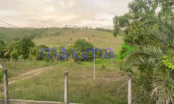 Imagem 5: Propriedade à venda no Povoado Xindubinha Itaporanga dAjuda/SE