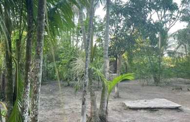 Imagem 6: Vende-se Casa com Amplo Terreno em Pindaré-Mirim/MA