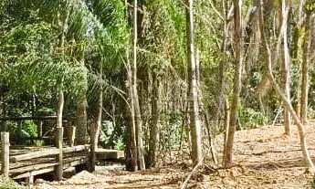 Imagem 3: More ou invista junto à natureza exuberante da ilha!