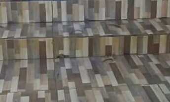 Imagem 2: Vendo esta casa Casa com 2 dormitórios