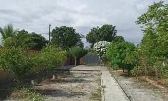 Imagem 6: SITIO DE 3/4 EM AREMBEPE