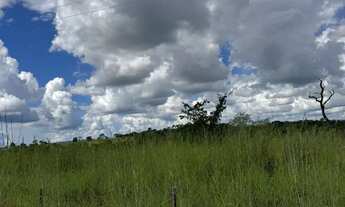 Imagem 5: SÍTIO SETE OUROS - PRÓXIMO A MATRINCHÃ/GO (12 alqueires = 580.800 m²) Fazenda à Venda, 580