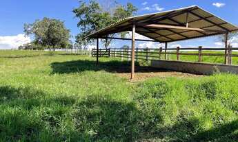 Imagem 7: Chácara 36 litros em Inhumas